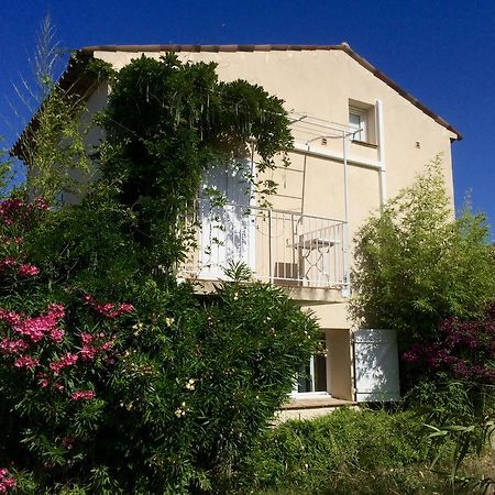 Maison D'Elie 圣特罗佩 外观 照片